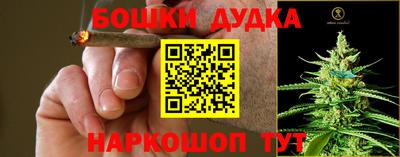 ПСИЛОЦИБИНОВЫЕ ГРИБЫ Краснодар