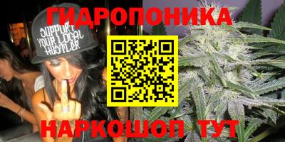 дурь Краснознаменск