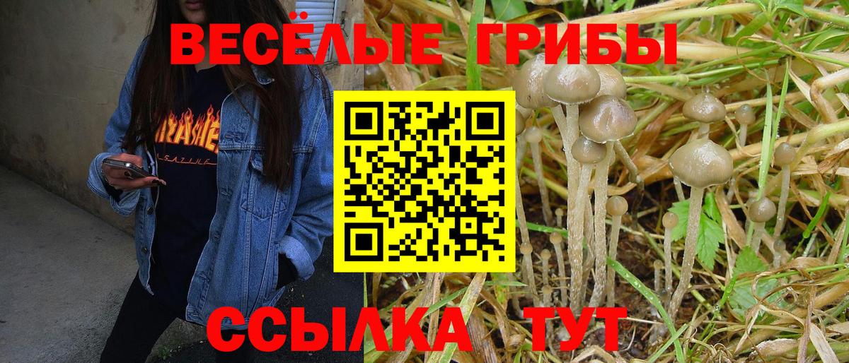 Галлюциногенные грибы MAGIC MUSHROOMS Волгоград